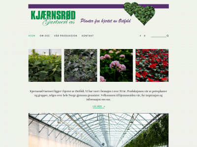 hedera.no snapshot