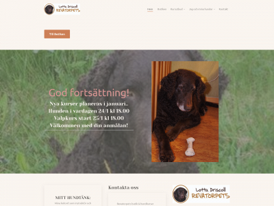 lottadriscoll.se snapshot