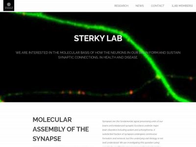 sterkylab.com snapshot