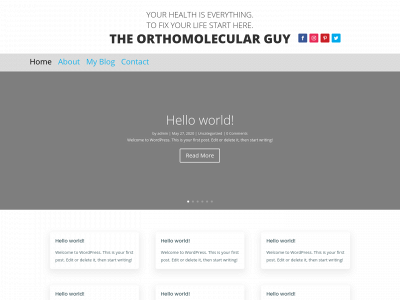theorthomolecularguy.com snapshot