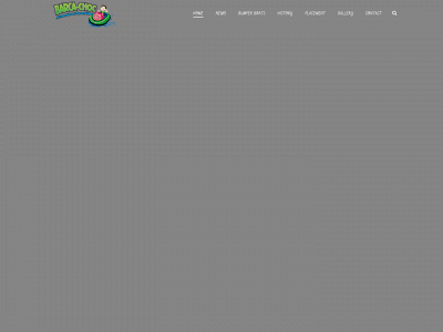 barcachoc.com snapshot