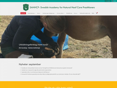 sanhcp.se snapshot