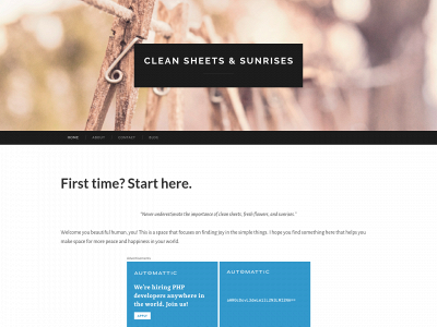 cleansheetsandsunrises.com snapshot
