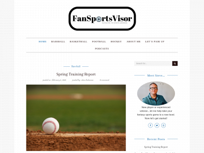 fansportsvisor.com snapshot