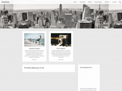 pratishgurung.com snapshot