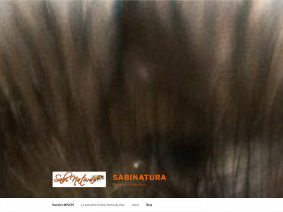 sabinatura.es snapshot