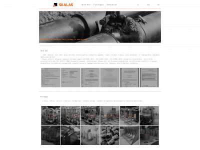 skalas.lt snapshot