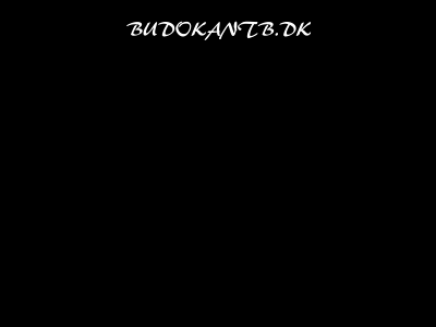 budokantb.dk snapshot