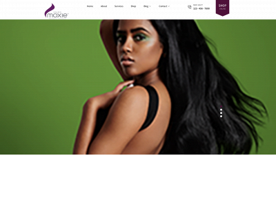 experience-salonmoxie.com snapshot
