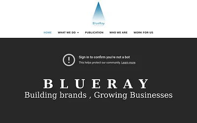 bluerayinternational.co.uk snapshot