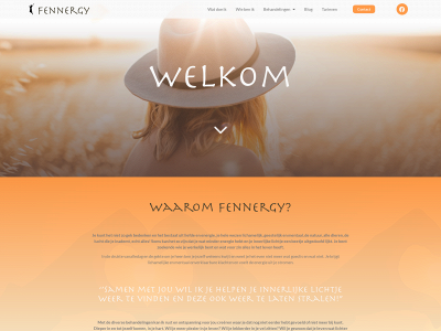 fennergy.nl snapshot