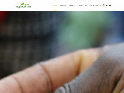 wafagsolutions.com snapshot