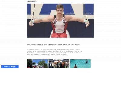 scottschnurrvei.weebly.com snapshot
