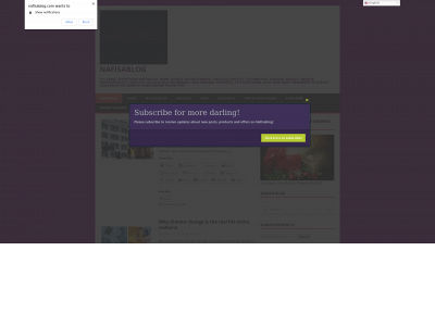nafisablog.com snapshot