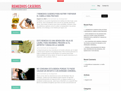 remedioscaseros14.com snapshot
