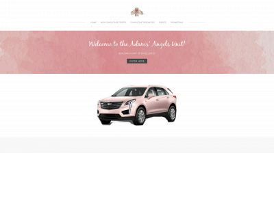 www.adamsangelsunit.com snapshot
