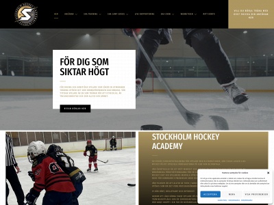 sodraakademin.se snapshot