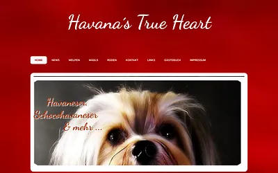 havannas-true-heart.ch snapshot