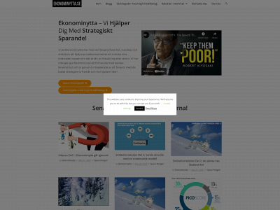 ekonominytta.se snapshot