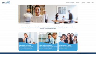sinapsiaconsulting.com snapshot