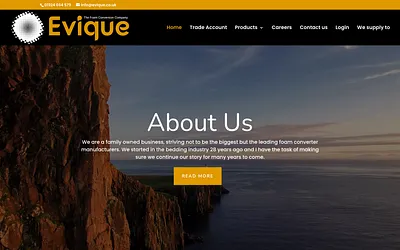 evique.co.uk snapshot