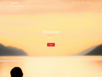 exylens.com snapshot