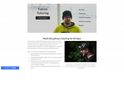 falcontutoring.weebly.com snapshot