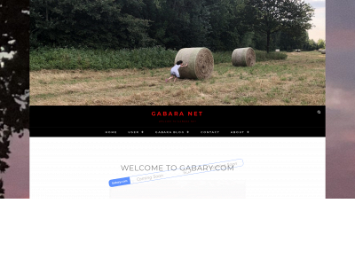 gabary.com snapshot