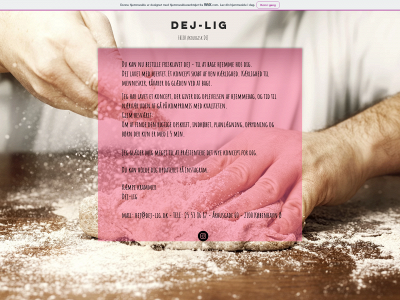 dej-lig.dk snapshot