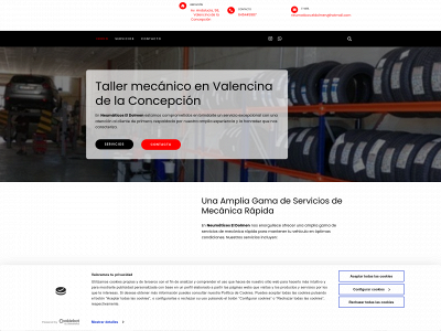 www.neumaticoseldolmen.com snapshot
