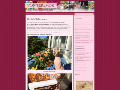 teremok.ch snapshot