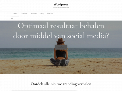 socialbrandingagency.nl snapshot