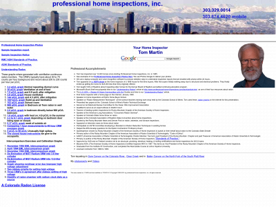 professional-home-inspections.com snapshot