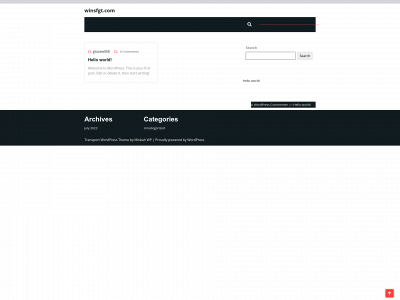 winsfgt.com snapshot