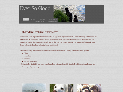 eversogood.se snapshot
