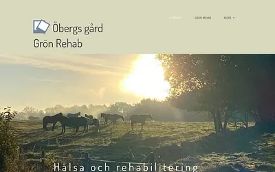 obergsgardgronrehab.se snapshot