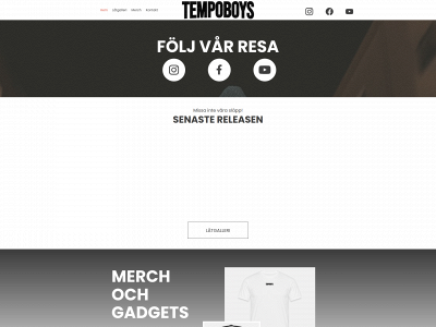 tempoboys.com snapshot