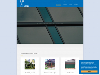 rastika.lt snapshot