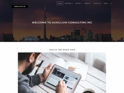 auxilliumconsulting.com snapshot