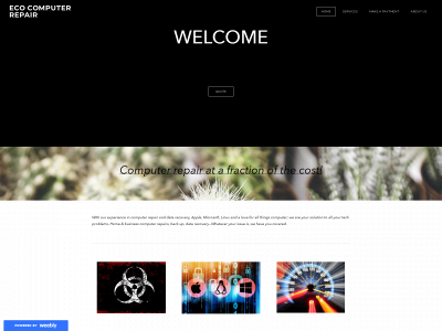 ecocomputerrepair.weebly.com snapshot