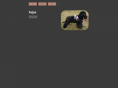 kityikana.se snapshot