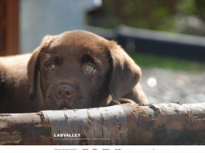 labvalley.se snapshot