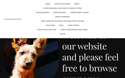 cumalong-aussies.weebly.com snapshot