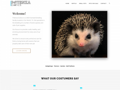 potenzaexotics.com snapshot