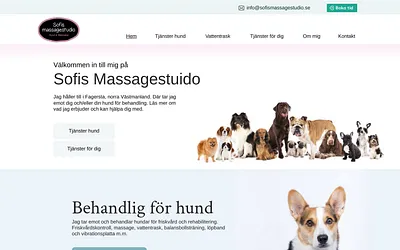 sofismassagestudio.se snapshot