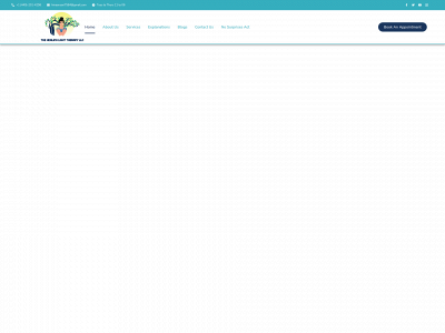 thehealinglighttherapy.com snapshot