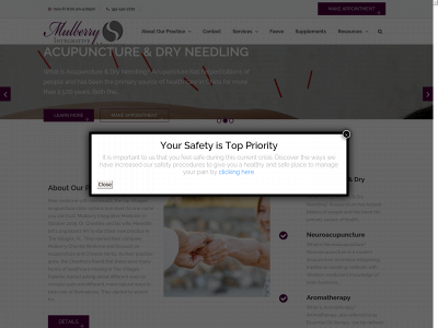 mulberryintmed.com snapshot
