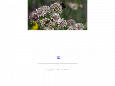 tomasnilsson.se snapshot