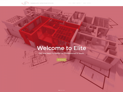 elitedetectivez.com snapshot