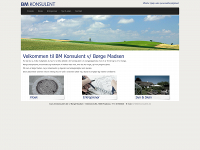 bmkonsulent.dk snapshot